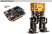 Tower Mechatronics Board and Robot