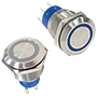 ATP Series Anti-Vandal Switches